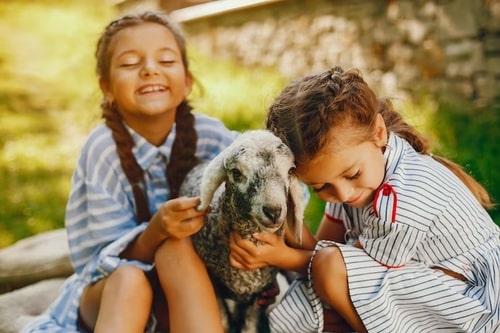 Terapia com animais para estimulação sensorial em crianças com autismo